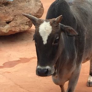 Meet your Posher, Aiden